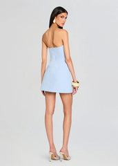 Poppi Heavy Crepe Strapless Mini Dress